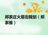郑家庄火星街规划（郑家维）