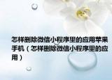 怎样删除微信小程序里的应用苹果手机（怎样删除微信小程序里的应用）