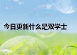 今日更新什么是双学士
