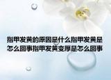 指甲发黄的原因是什么指甲发黄是怎么回事指甲发黄变厚是怎么回事
