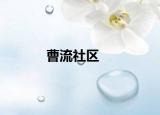 曹流社区
