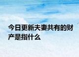 今日更新夫妻共有的财产是指什么