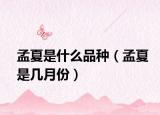 孟夏是什么品种（孟夏是几月份）