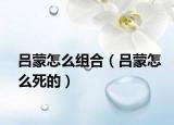 吕蒙怎么组合（吕蒙怎么死的）