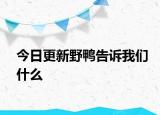 今日更新野鸭告诉我们什么