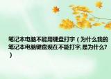 笔记本电脑不能用键盘打字（为什么我的笔记本电脑键盘现在不能打字,是为什么?）