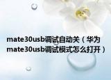 mate30usb调试自动关（华为mate30usb调试模式怎么打开）