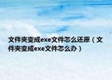 文件夹变成exe文件怎么还原（文件夹变成exe文件怎么办）