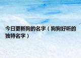 今日更新狗的名字（狗狗好听的独特名字）