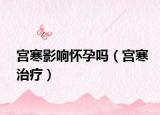 宫寒影响怀孕吗（宫寒治疗）
