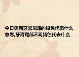 今日更新牙膏尾部的绿色代表什么意思,牙膏尾部不同颜色代表什么