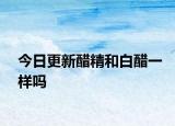 今日更新醋精和白醋一样吗