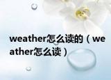 weather怎么读的（weather怎么读）