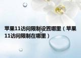 苹果11访问限制设置哪里（苹果11访问限制在哪里）
