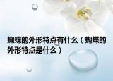 蝴蝶的外形特点有什么（蝴蝶的外形特点是什么）