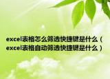 excel表格怎么筛选快捷键是什么（excel表格自动筛选快捷键是什么）