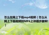 怎么在网上下载mp4视频（怎么从网上下载视频到MP4上详细步骤啊!）