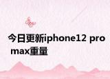 今日更新iphone12 pro max重量