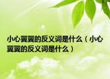小心翼翼的反义词是什么（小心翼翼的反义词是什么）