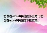 怎么在excel中设置小三角（怎么在excel中设置下拉菜单）