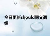 今日更新should同义词组