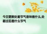 今日更新处暑节气意味着什么,处暑过后是什么节气