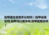 指甲再生需要多长时间（指甲会再生吗,指甲可以再生吗,指甲能再生吗）