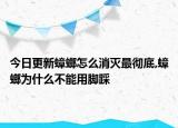 今日更新蟑螂怎么消灭最彻底,蟑螂为什么不能用脚踩