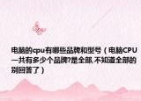 电脑的cpu有哪些品牌和型号（电脑CPU一共有多少个品牌?是全部,不知道全部的别回答了）