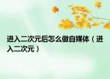 进入二次元后怎么做自媒体（进入二次元）