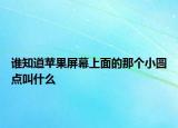 谁知道苹果屏幕上面的那个小圆点叫什么