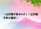 一公尺等于多少m2（一公尺等于多少厘米）