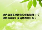 望庐山瀑布全诗意思讲解视频（《望庐山瀑布》全诗意思是什么）