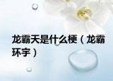 龙霸天是什么梗（龙霸环宇）