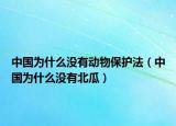 中国为什么没有动物保护法（中国为什么没有北瓜）