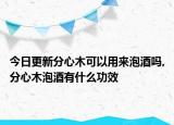 今日更新分心木可以用来泡酒吗,分心木泡酒有什么功效