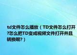 td文件怎么播放（TD文件怎么打开?怎么把TD变成视频文件打开并且转换呢?）