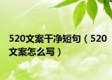 520文案干净短句（520文案怎么写）