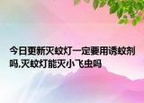 今日更新灭蚊灯一定要用诱蚊剂吗,灭蚊灯能灭小飞虫吗