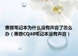 惠普笔记本为什么没有声音了怎么办（惠普CQ40笔记本没有声音）