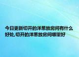 今日更新切开的洋葱放房间有什么好处,切开的洋葱放房间哪里好