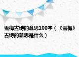 雪梅古诗的意思100字（《雪梅》古诗的意思是什么）