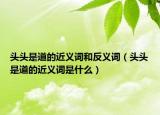 头头是道的近义词和反义词（头头是道的近义词是什么）