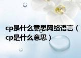 cp是什么意思网络语言（cp是什么意思）