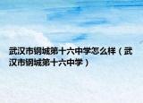 武汉市钢城第十六中学怎么样（武汉市钢城第十六中学）
