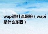 wapi是什么网络（wapi是什么东西）