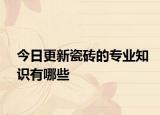 今日更新瓷砖的专业知识有哪些