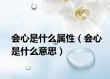 会心是什么属性（会心是什么意思）