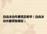自由泳动作要领及教学（自由泳动作要领有哪些）