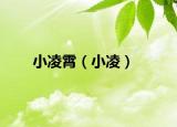 小凌霄（小凌）